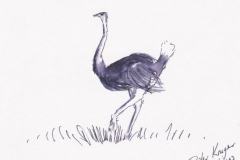 2003 Ostrich