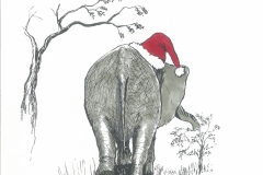 Knysna Christmas elephant