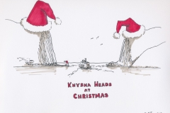 Knysna Heads at Christmas